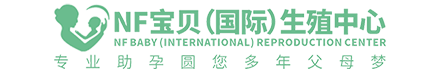 金致网